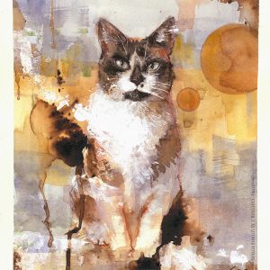 6-0-Gato2-PatriciaRepulles